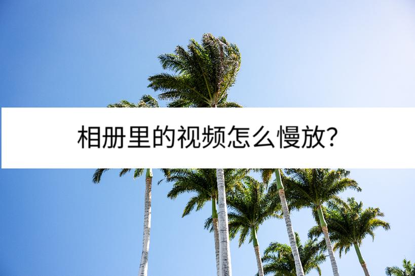 视频慢放