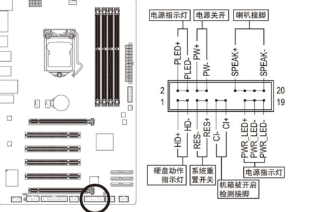 app排线是什么意思