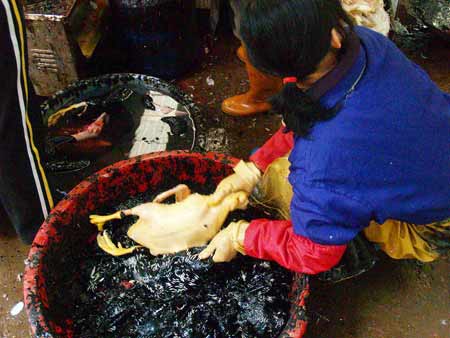 鸭子拔毛用沥青还是松香