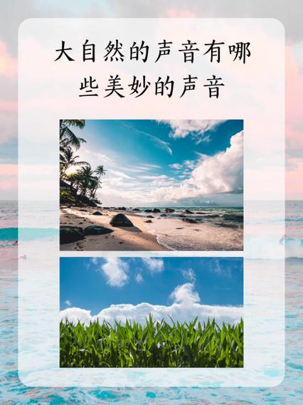 12种大自然的声音