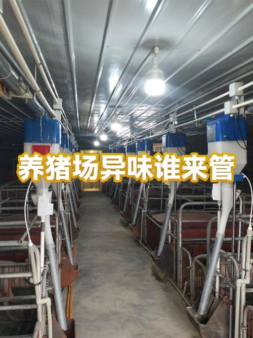 农村养猪污染归谁管