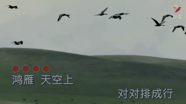 宋伶俐《鸿雁》缩略图