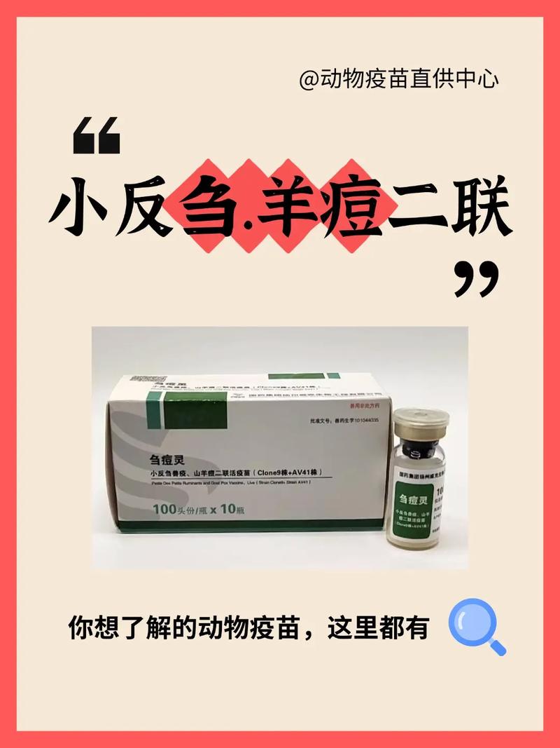 羊痘病的症状与治疗