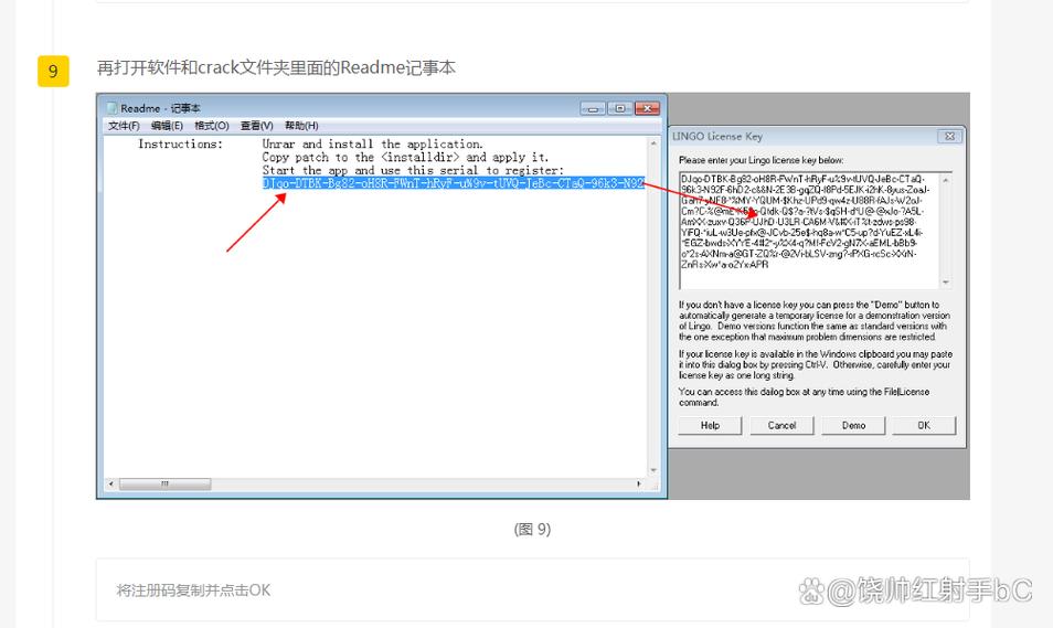 lingo软件安装教程