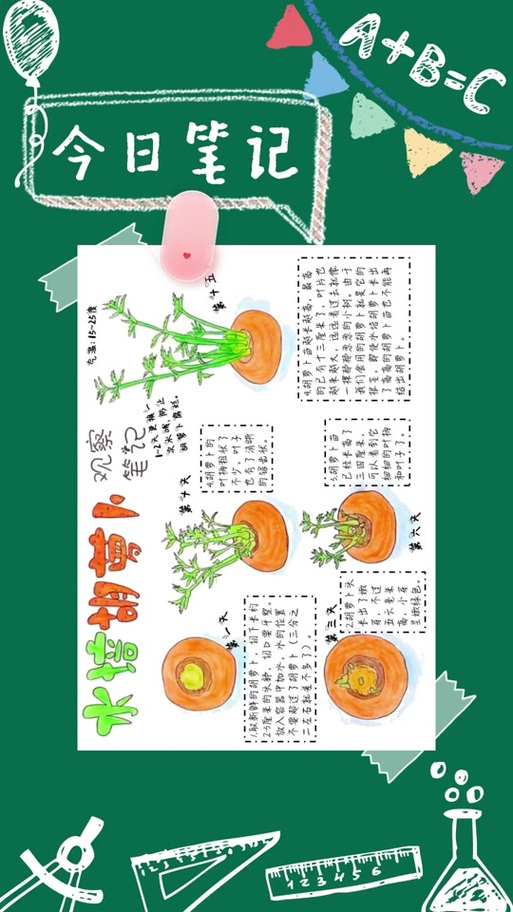 写一篇关于萝卜的日记