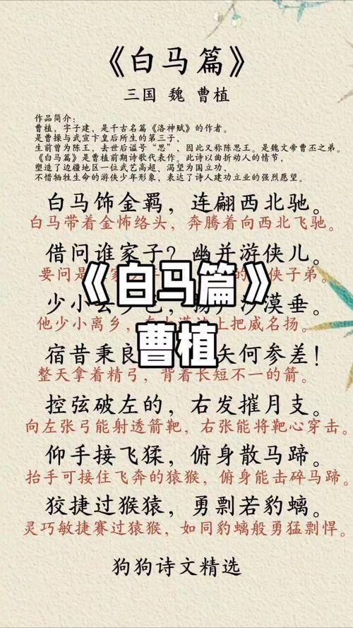 白马书院小说