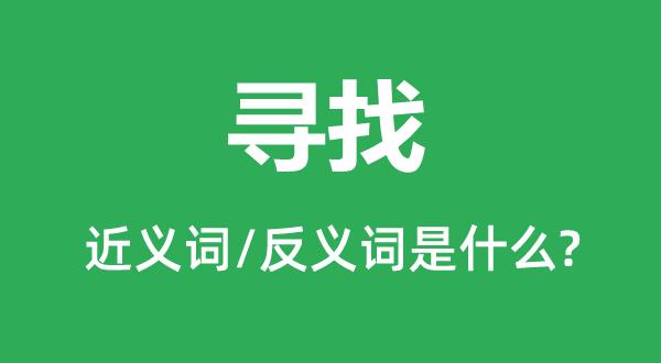寻觅反义词语是什么截图