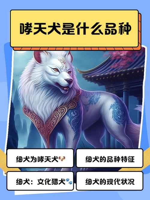 5级尖啸的宠物都有哪些