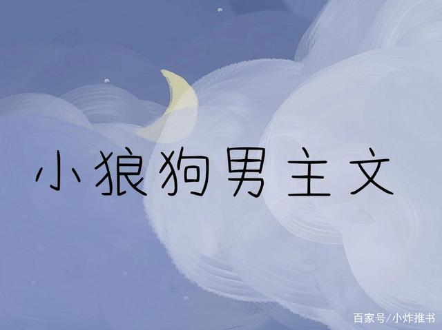 小狼狗男友体力太好小说