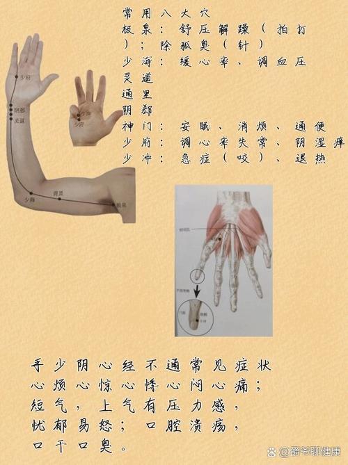 手少阴心经不通原因