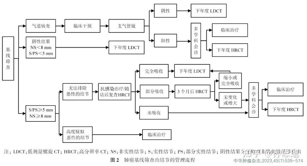 肺癌的治疗方案缩略图