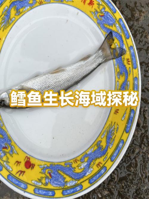 我的世界海洋神殿