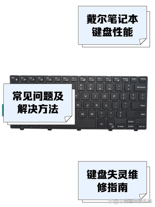 戴尔键盘按键没反应缩略图