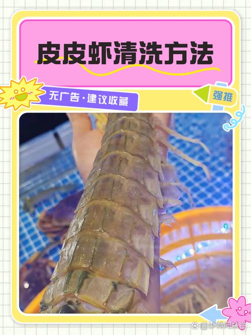 皮皮虾去广告4.7