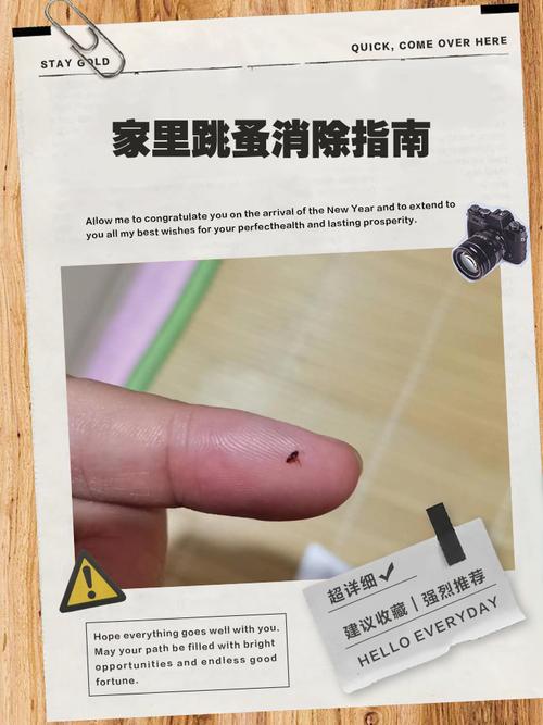 家有跳蚤最有效的方法