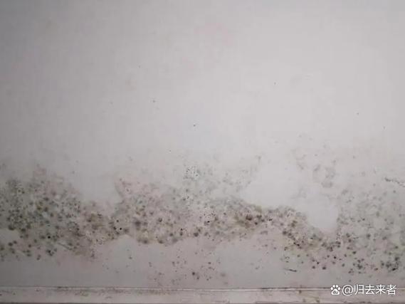 墙面发霉84好还是酒精好