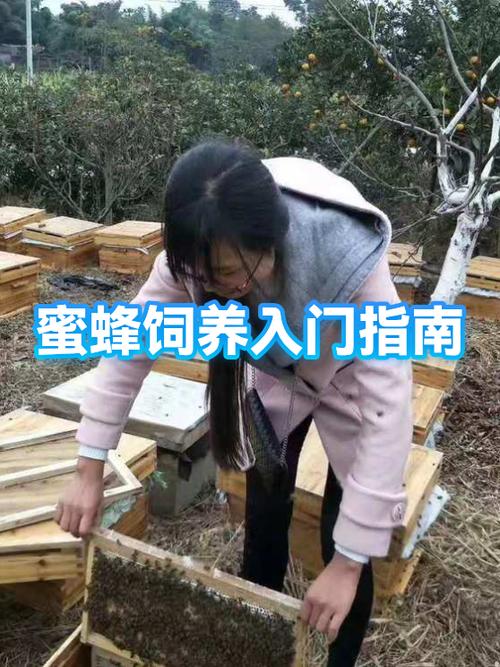 mc如何养蜜蜂缩略图