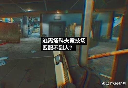 塔科夫有的人不能看信息