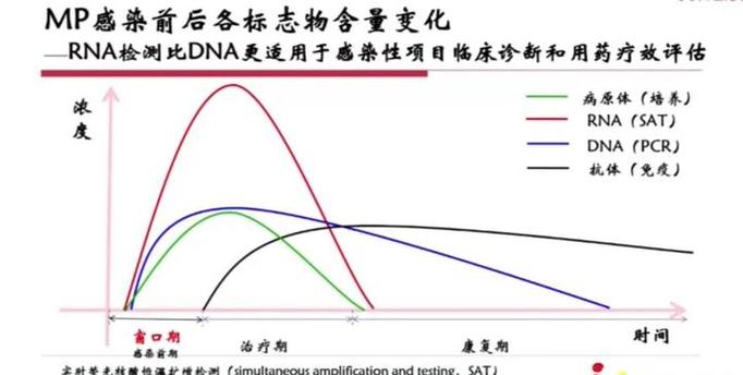 igg修改不变