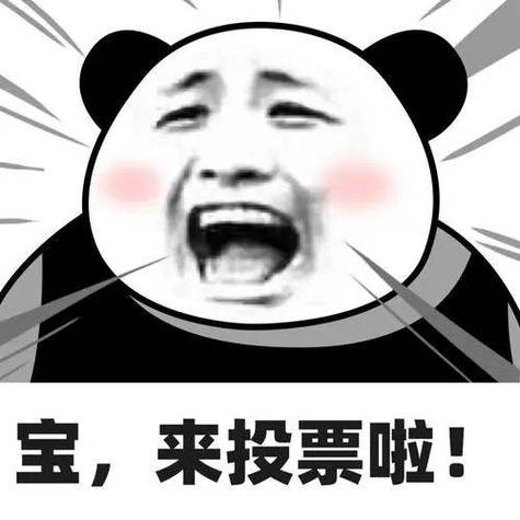 投票群一票多少钱