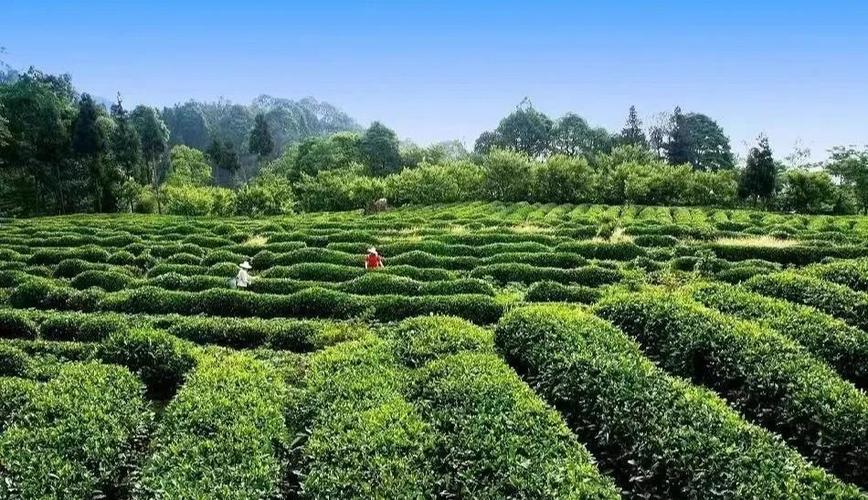 蒙顶山和蒙山是一个地方吗