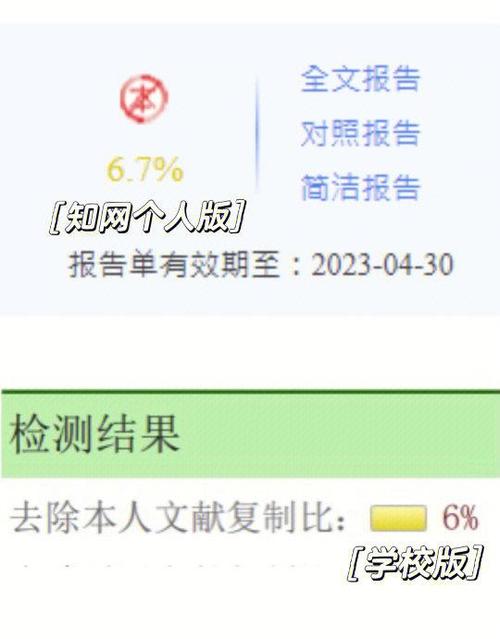 paperyy查重报告图片