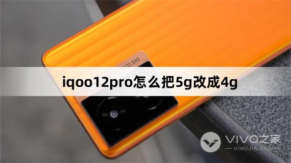 vivo怎样把4g改成5g显示
