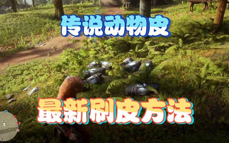 荒野大镖客2传说动物皮给谁