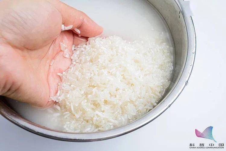 大米泡过水还能吃吗