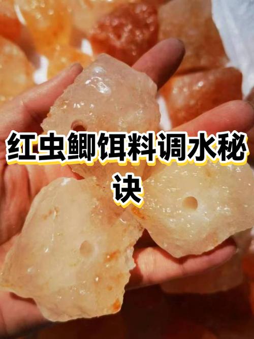 红虫养水里能活多久