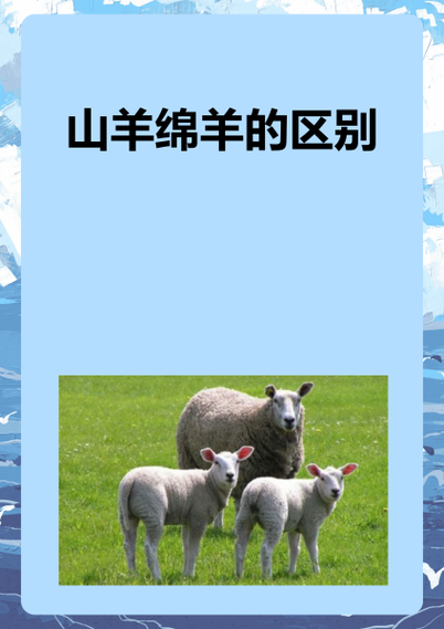 山羊为什么比绵羊贵