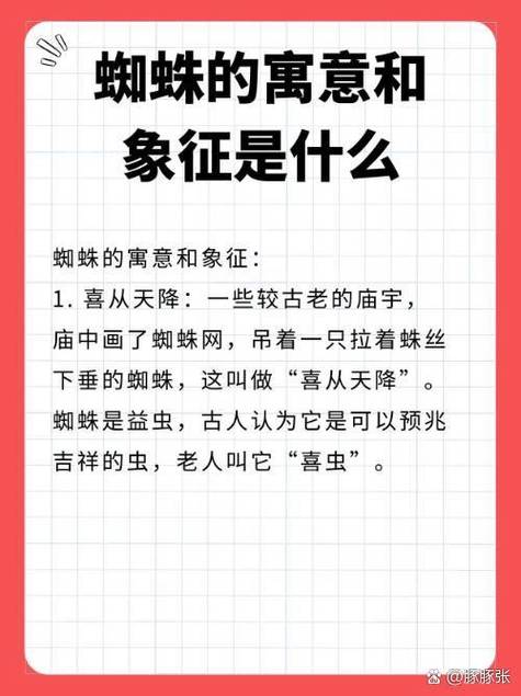 看见一个大蜘蛛预兆图标