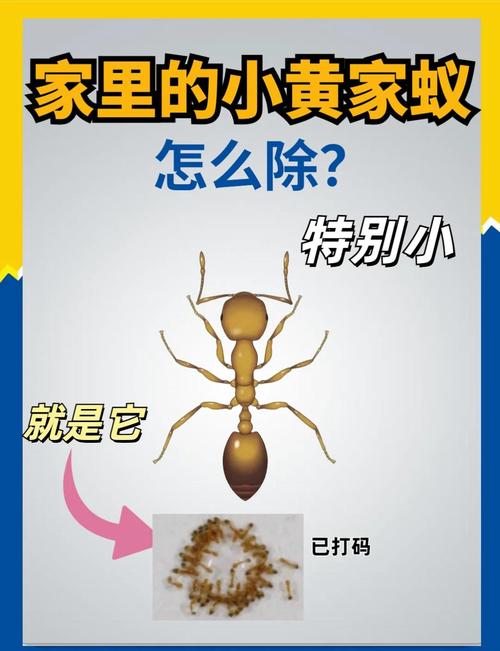 超级小黄人怎么画
