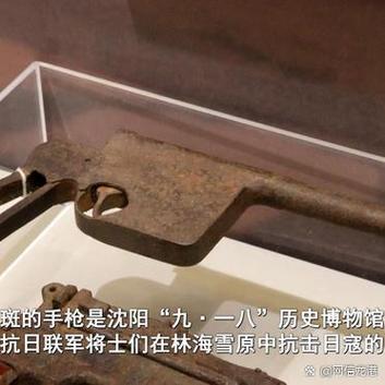 抗战之收废枪换新枪的小说