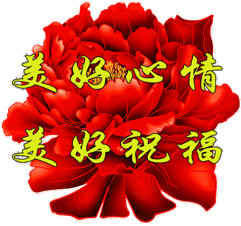 表情包老年人专用