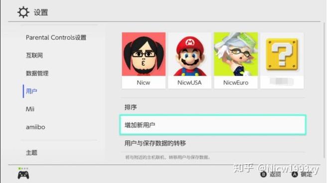 玩ns是什么意思
