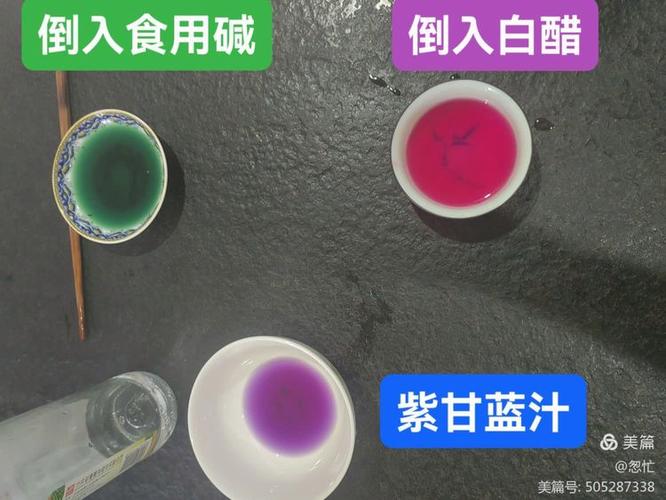 紫甘蓝榨汁的步骤