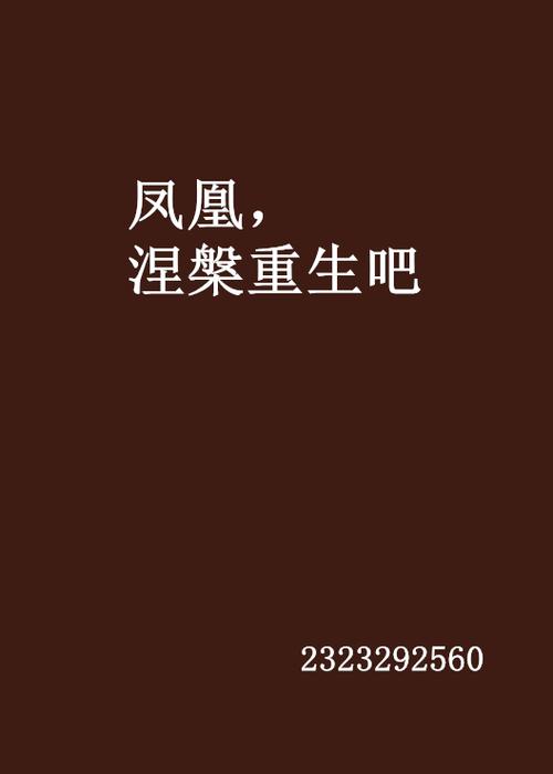 凤凰小说免费阅读网缩略图