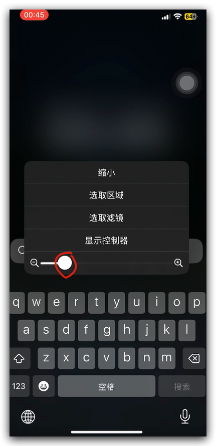 苹果界面突然变大怎么办