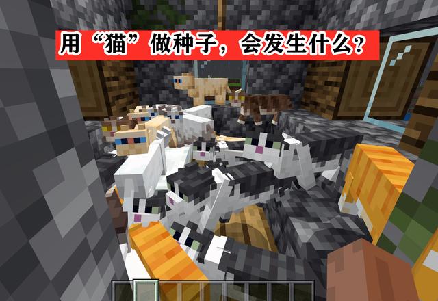 CAT科技我的世界