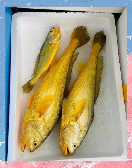 大黄鱼怎么清理 要除鱼鳞吗缩略图
