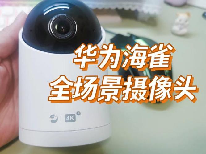 海雀老板和华为关系
