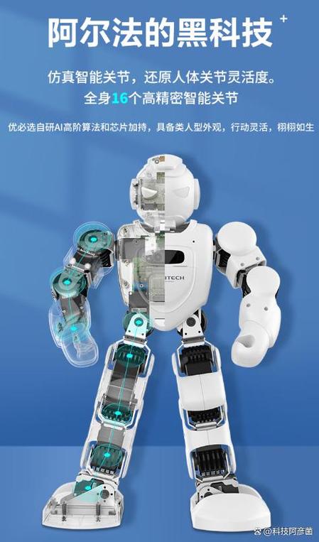 阿尔法编程官网入口