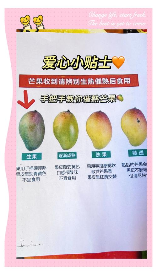 芒果tv无响应怎么办