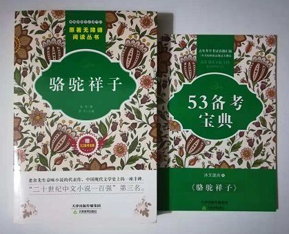 训骆驼视频教程缩略图