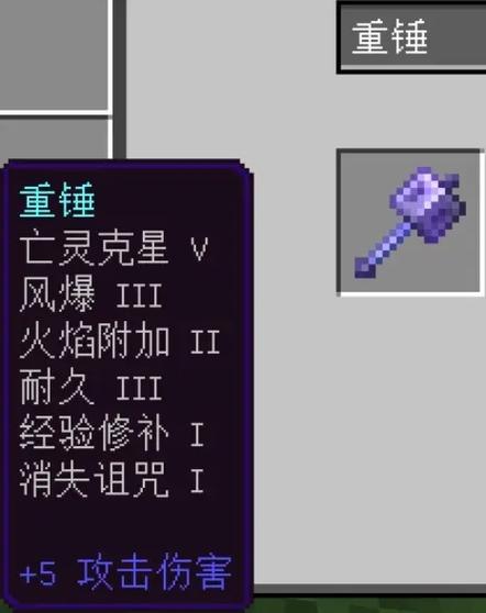 我的世界所有附魔效果