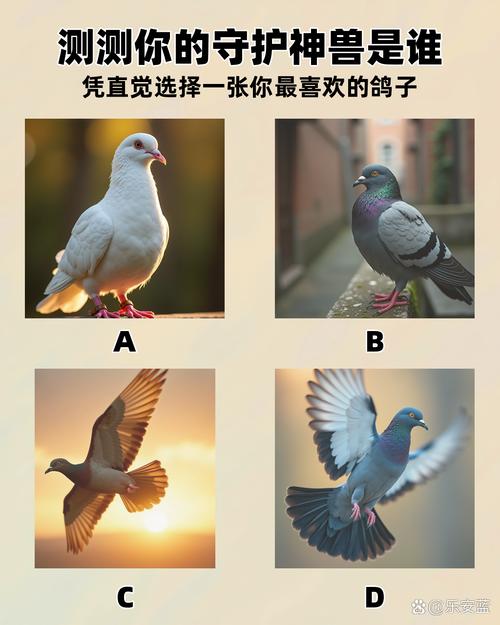鸽子在十二生肖指什么