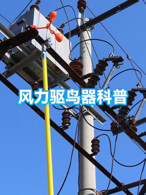 易拉罐驱鸟最好的方法
