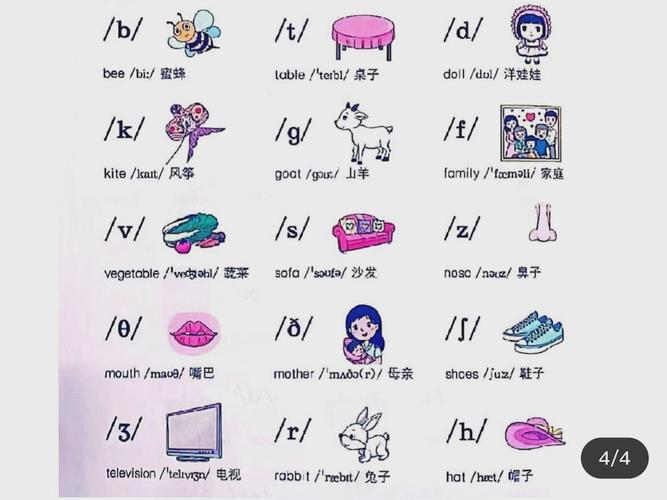rapeter怎么读