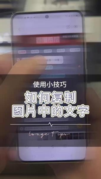 提取照片中的文字